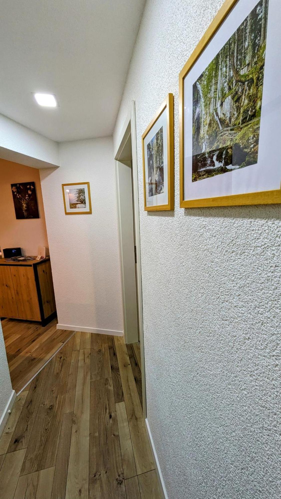 Ferienwohnung Albbruck/Albert Екстер'єр фото