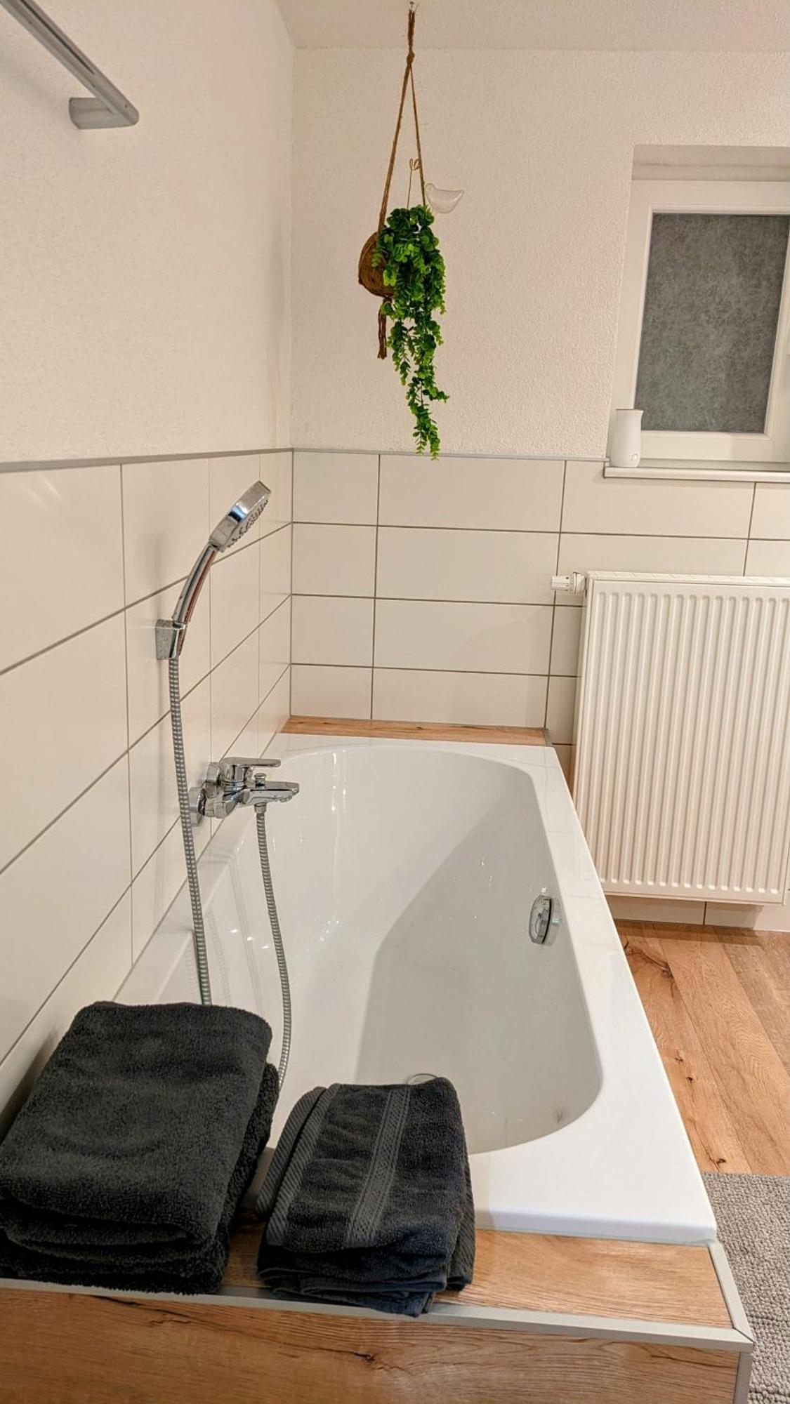 Ferienwohnung Albbruck/Albert Екстер'єр фото